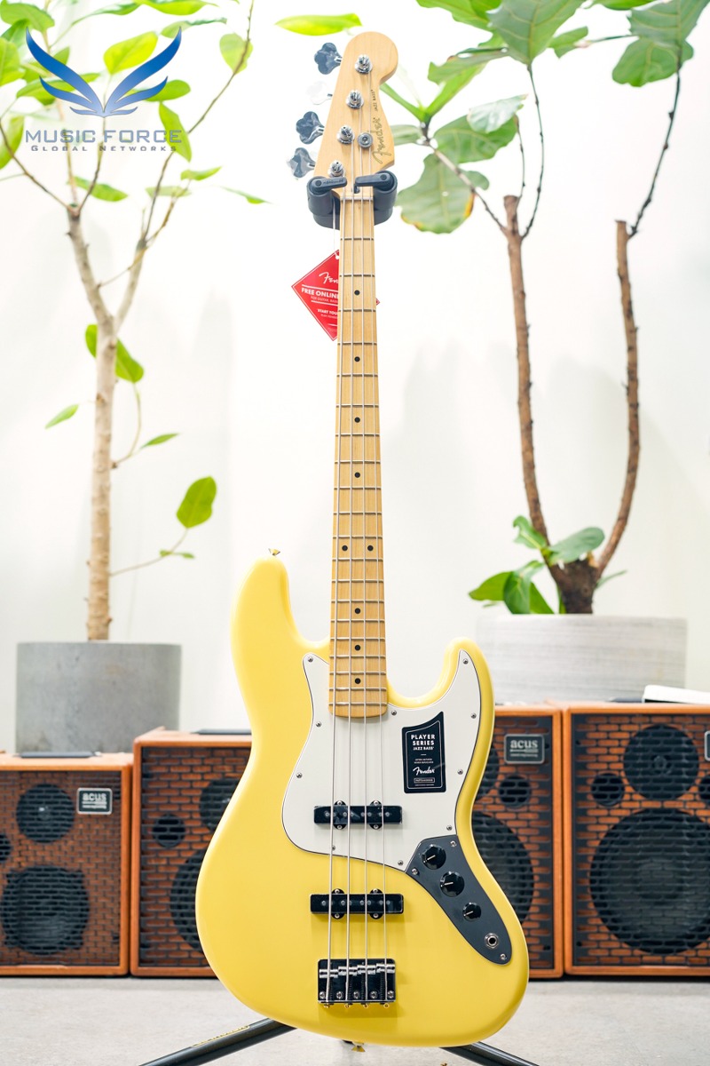 Fender Mexico Player Series Jazz Bass-Buttercream w/Maple FB (신품) 펜더 멕시코 플레이어 재즈 베이스 - MX23122248